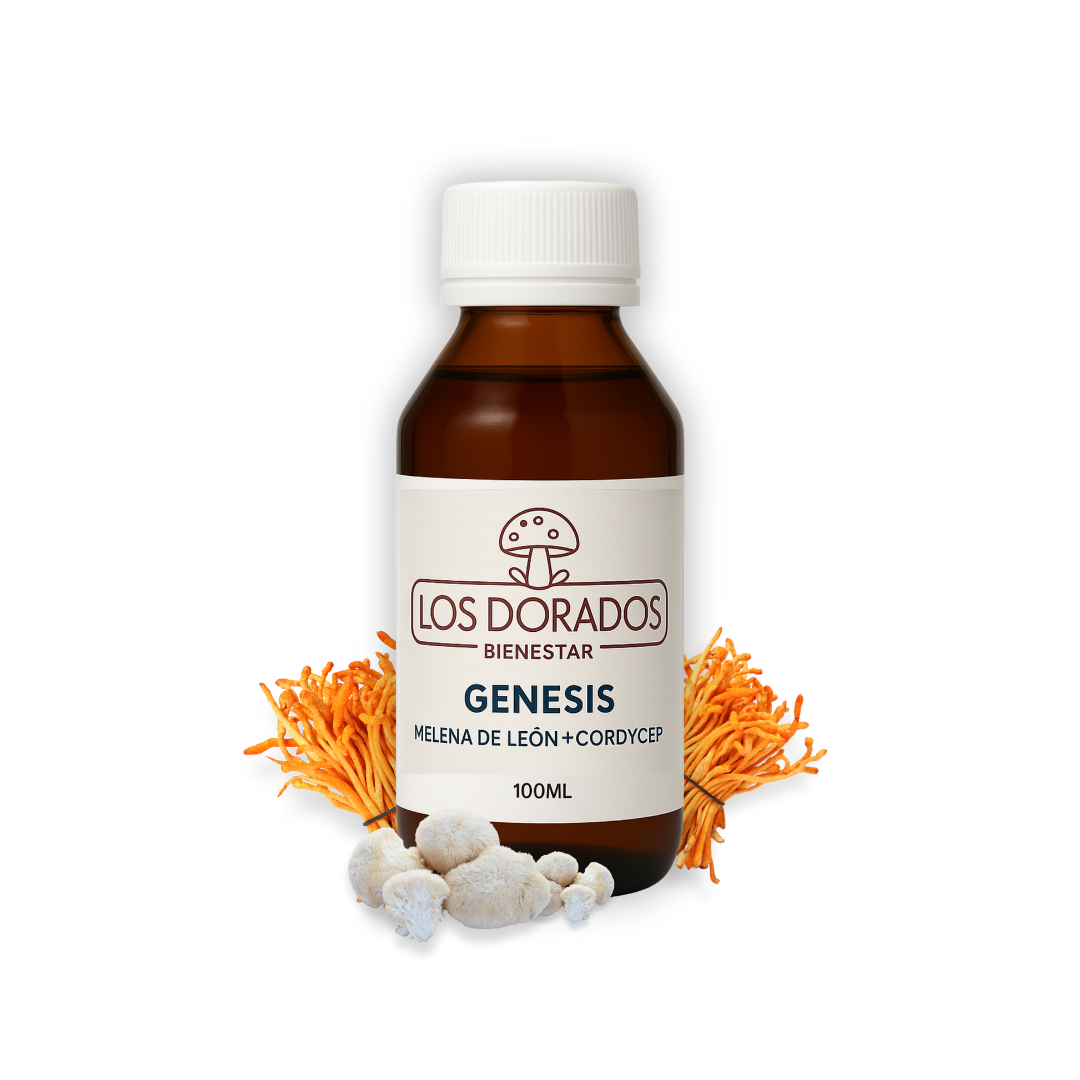 Génesis – Melena de León + Cordyceps (Triple extracto) – 100 ml