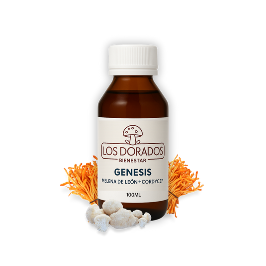 Génesis – Melena de León + Cordyceps (Triple extracto) – 100 ml