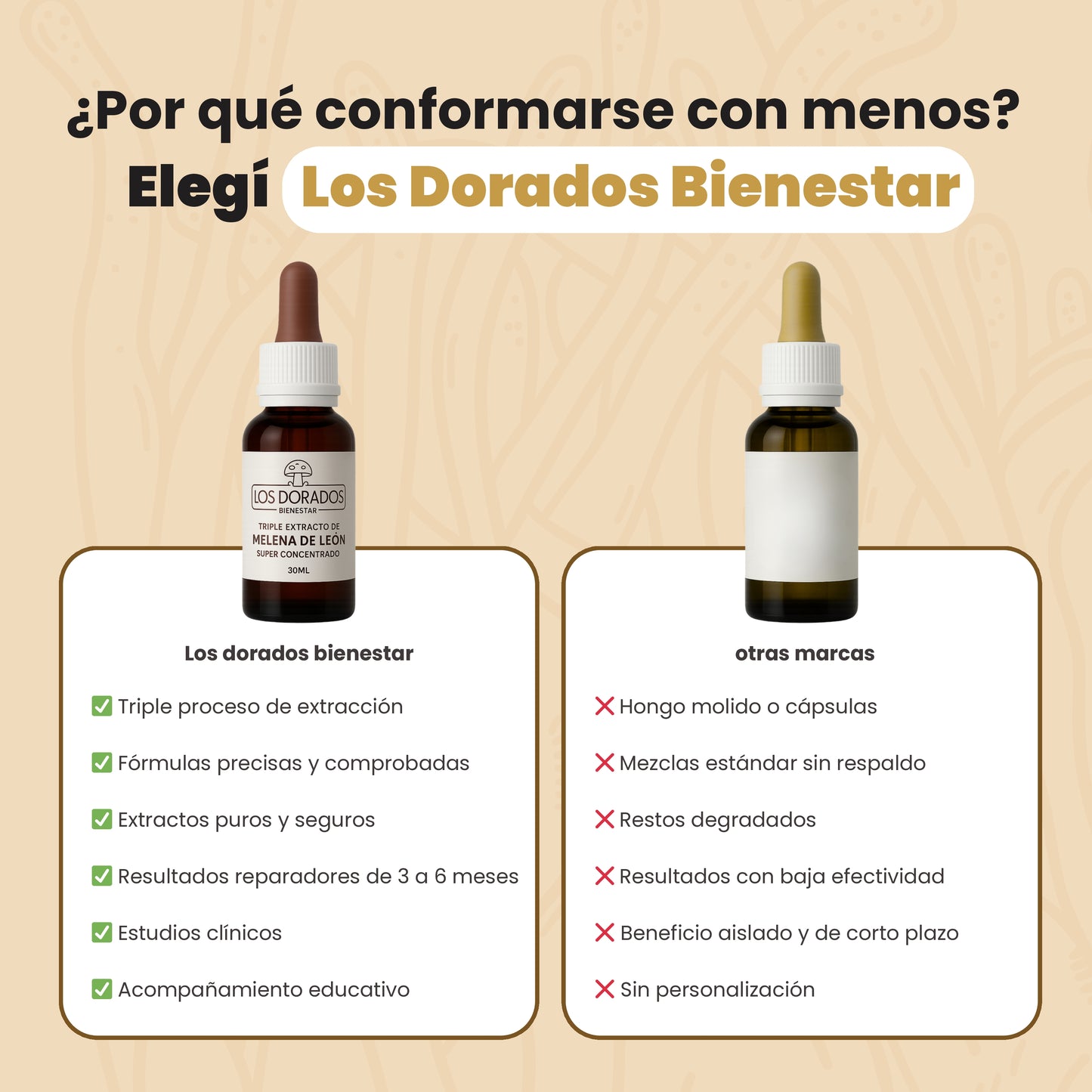 Melena de León – Triple extracto puro – 30 ml